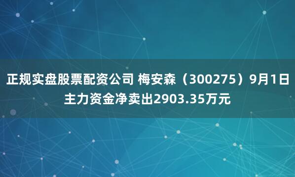 正规实盘股票配资公司 梅安森（300275）9月1日主力资金净卖出2903.35万元