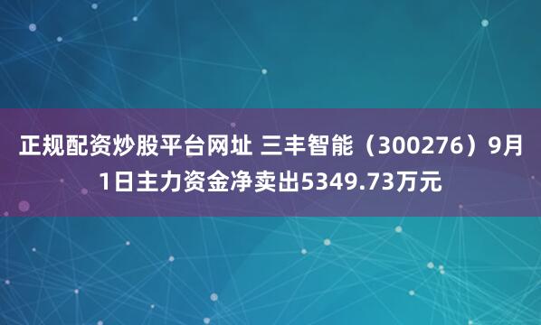 正规配资炒股平台网址 三丰智能(300276)9月1日主力资金净卖出5349.73万元