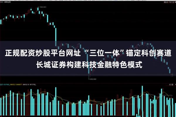 正规配资炒股平台网址 “三位一体”锚定科创赛道 长城证券构建科技金融特色模式